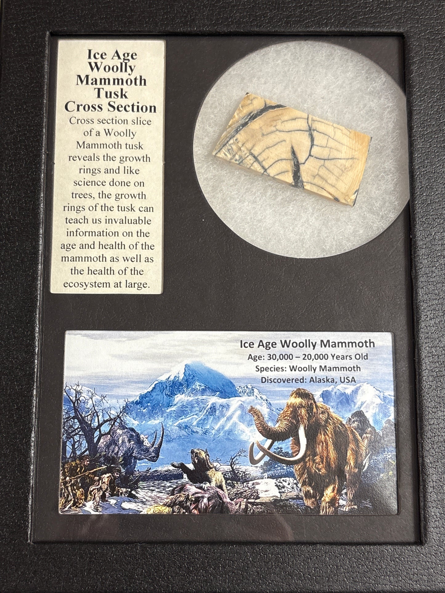 Framed History