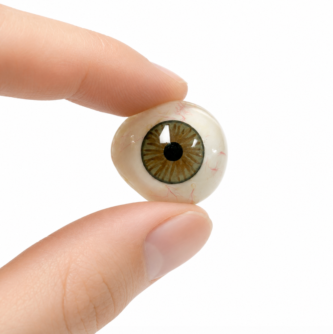 Artificial prosthetic eye collectible alternate view