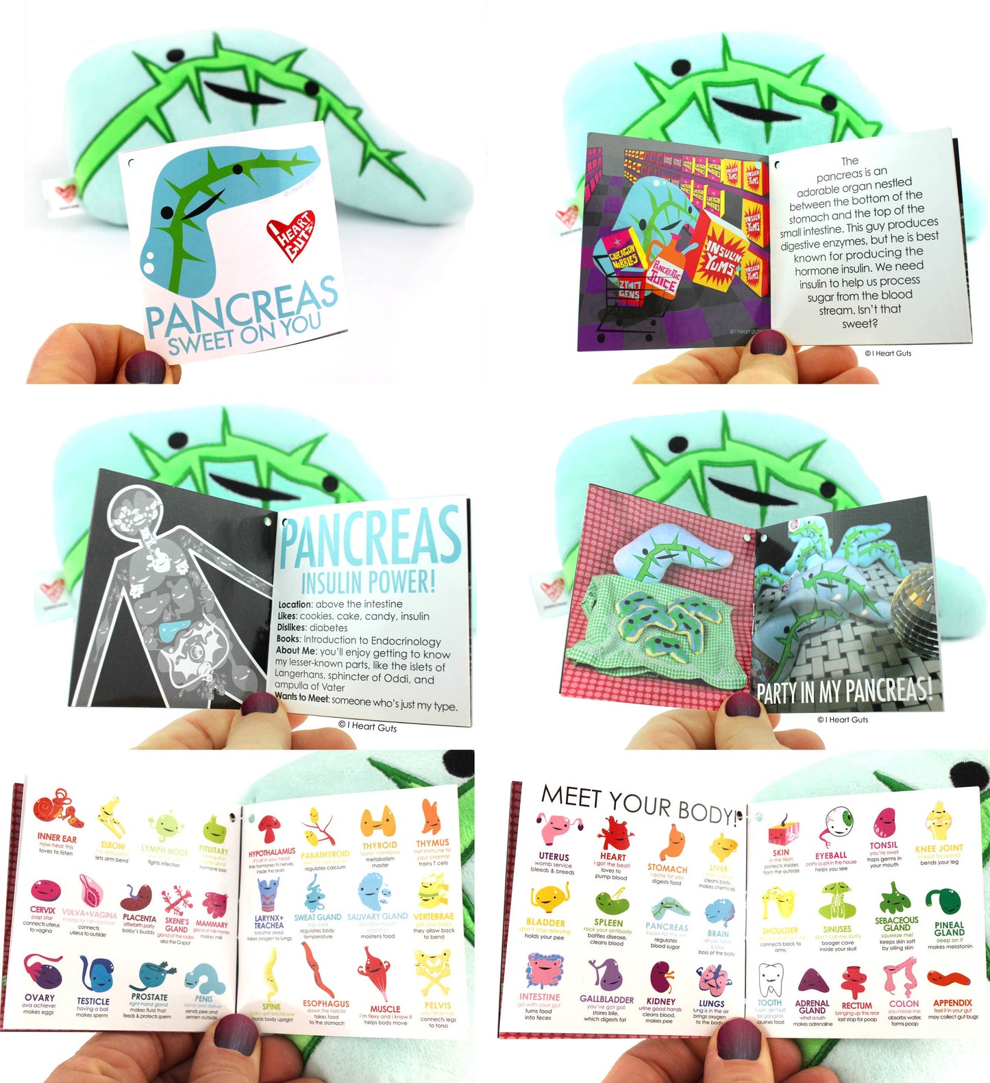 Pancreas Plush - Sweet on You