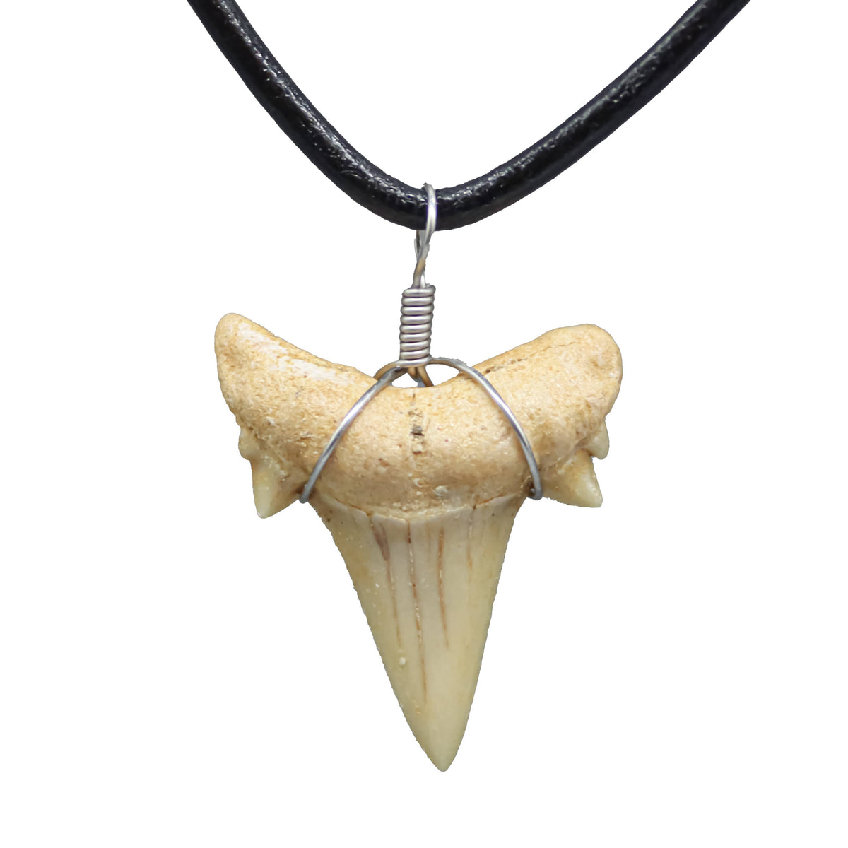 Shark Tooth Necklace