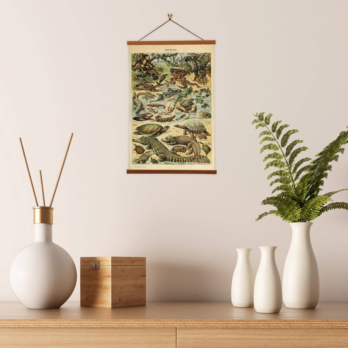 Reptiles by Adolphe Millot Scientific Illustration Canvas Print