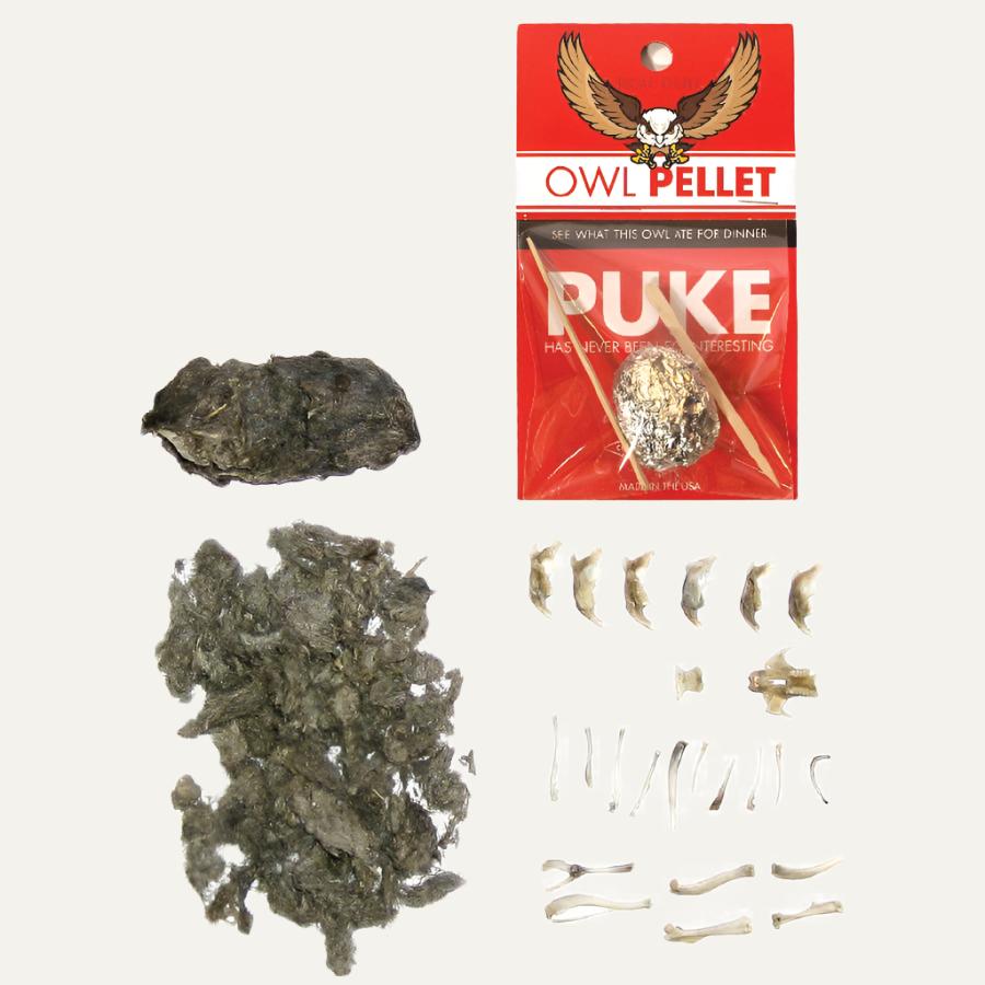 Owl Pellet | Compact Curiosities Dissection Kit Science Demo