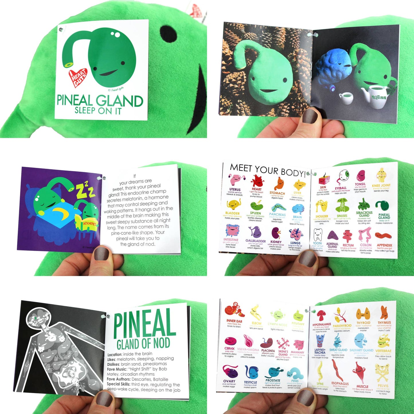 Pineal Gland Plush - Sleep on It