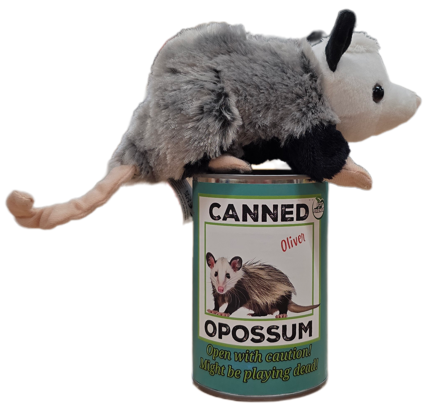 Oliver the Canned Opossum