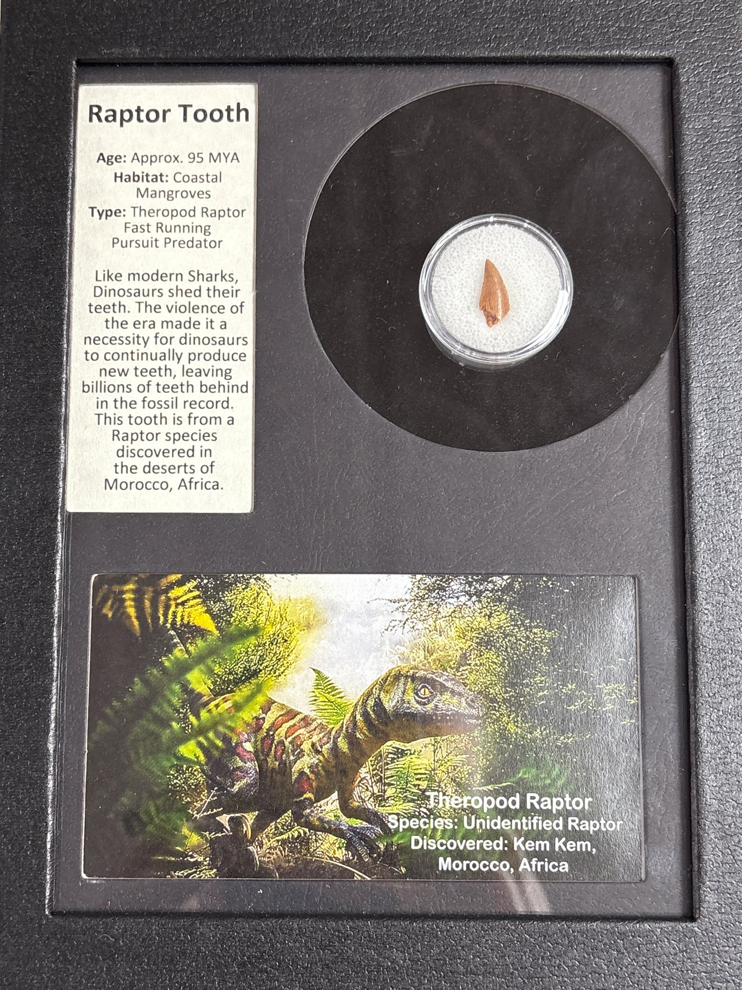 Framed History
