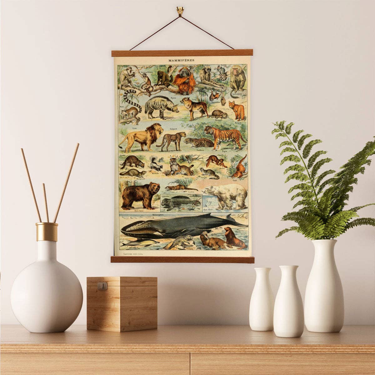 Mammals (Mammifères) Set C by Adolphe Millot Canvas Print