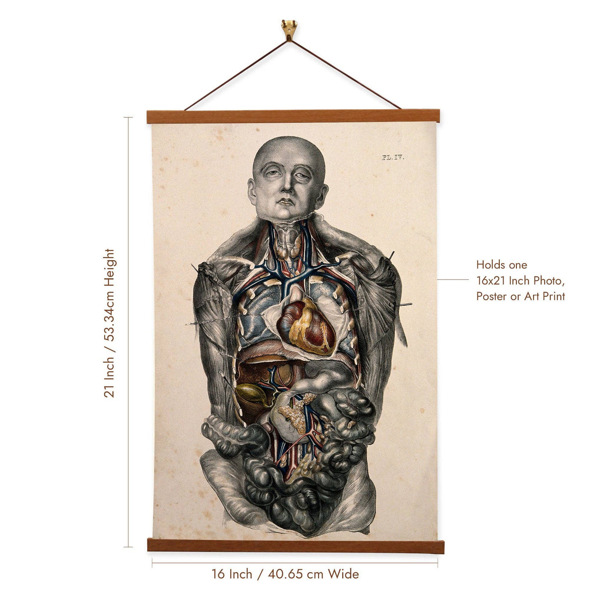 The Body of A Standing Man With His Head Shaved by  William Fairland - Giclee Print on Canvas with Magnetic Hanger
