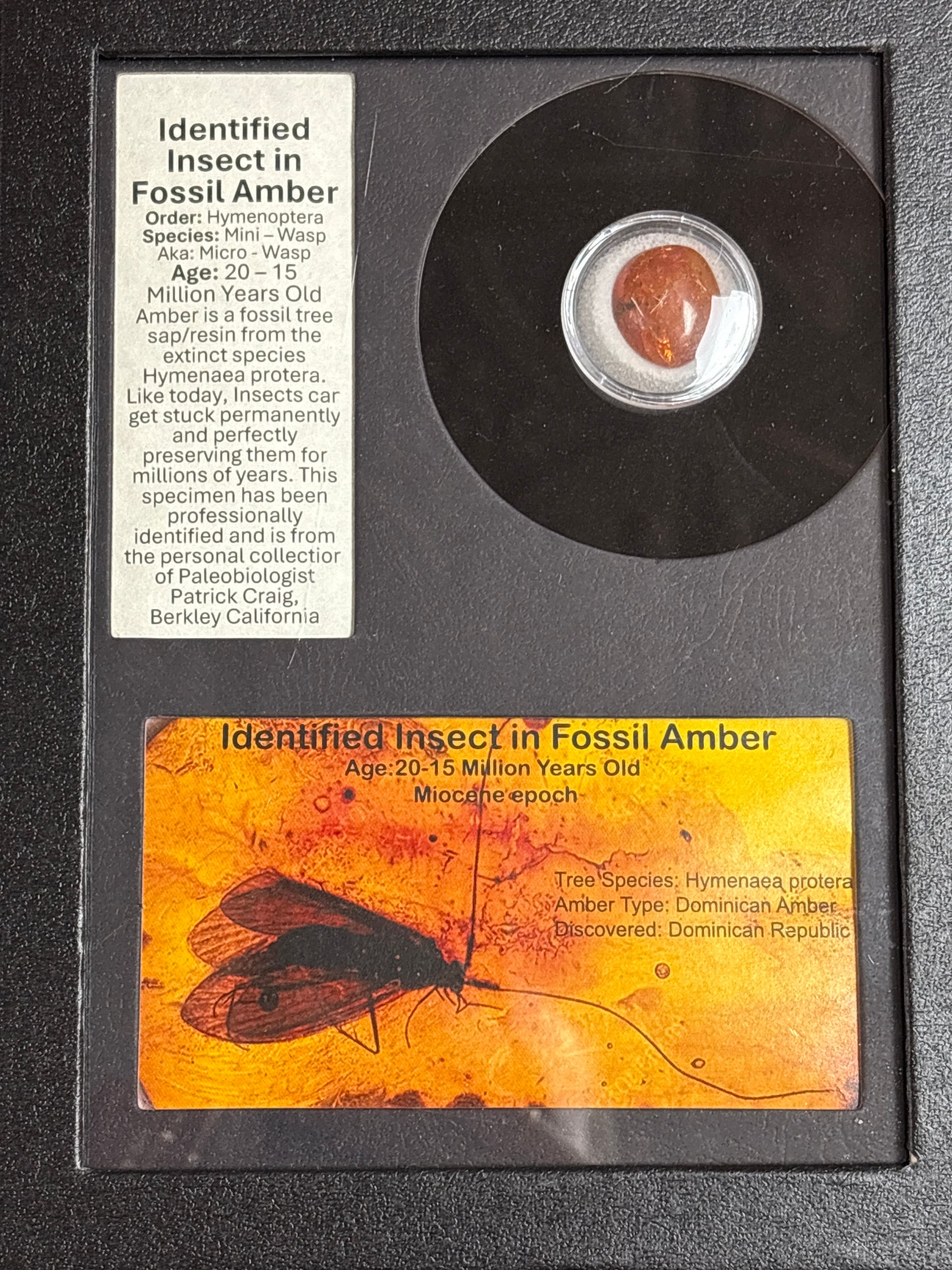 Framed History