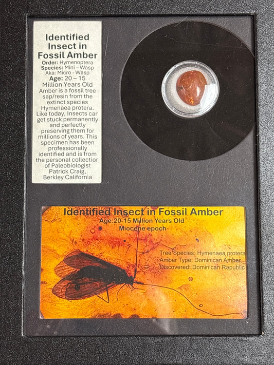 Framed History