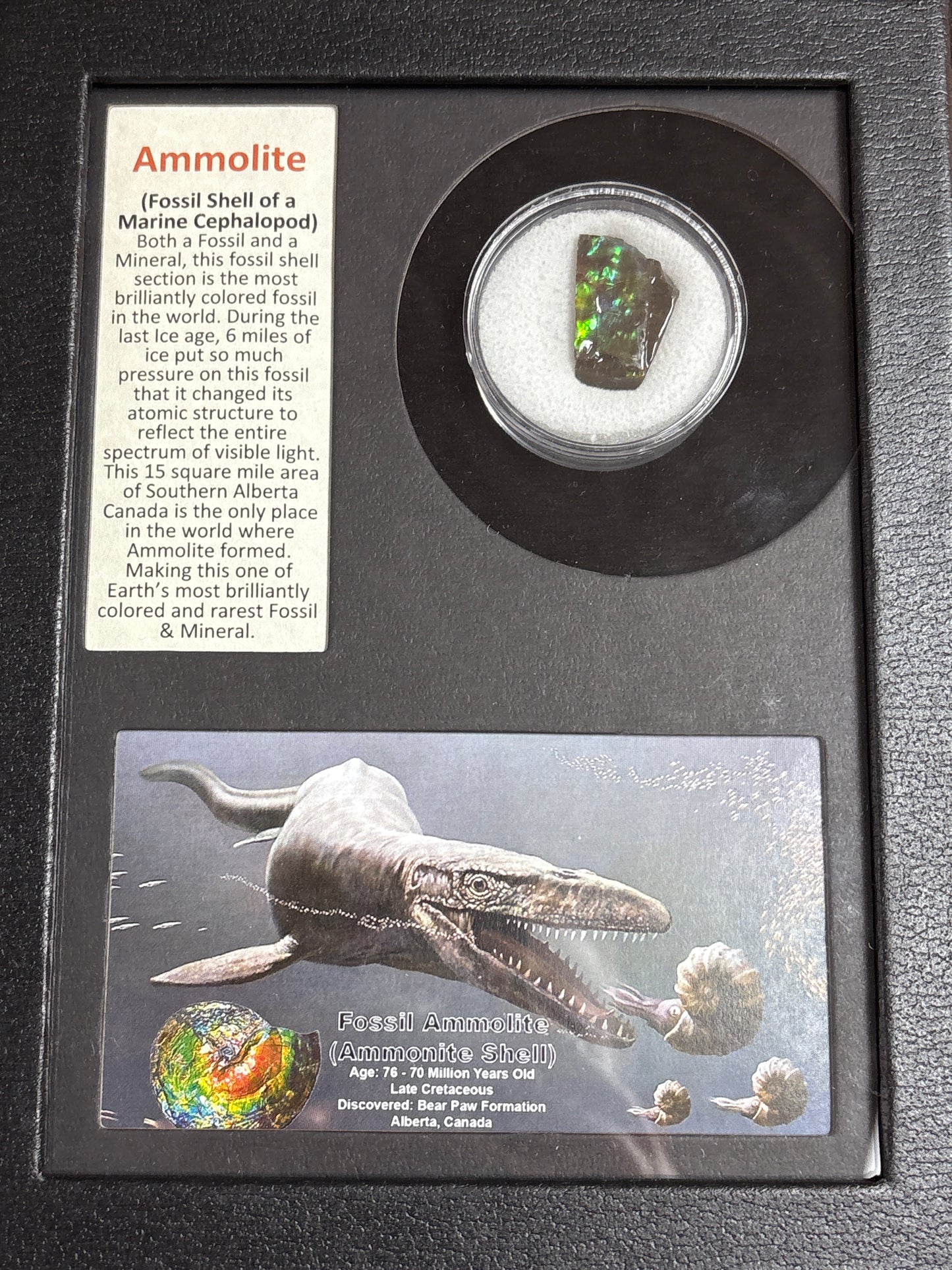 Framed History