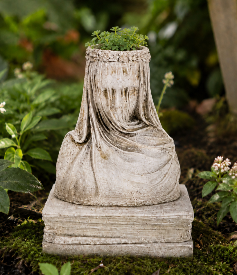 Concrete Small Veiled Lady alternate view
