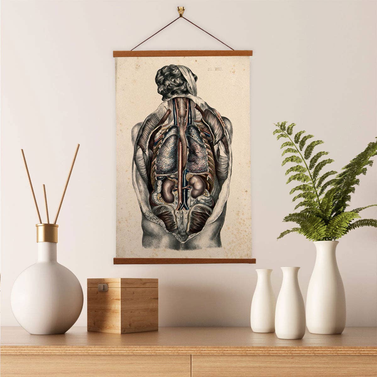 The Body Of A Man Coloured lithograph by William Fairland - Giclee Print on Canvas with Magnetic Hanger