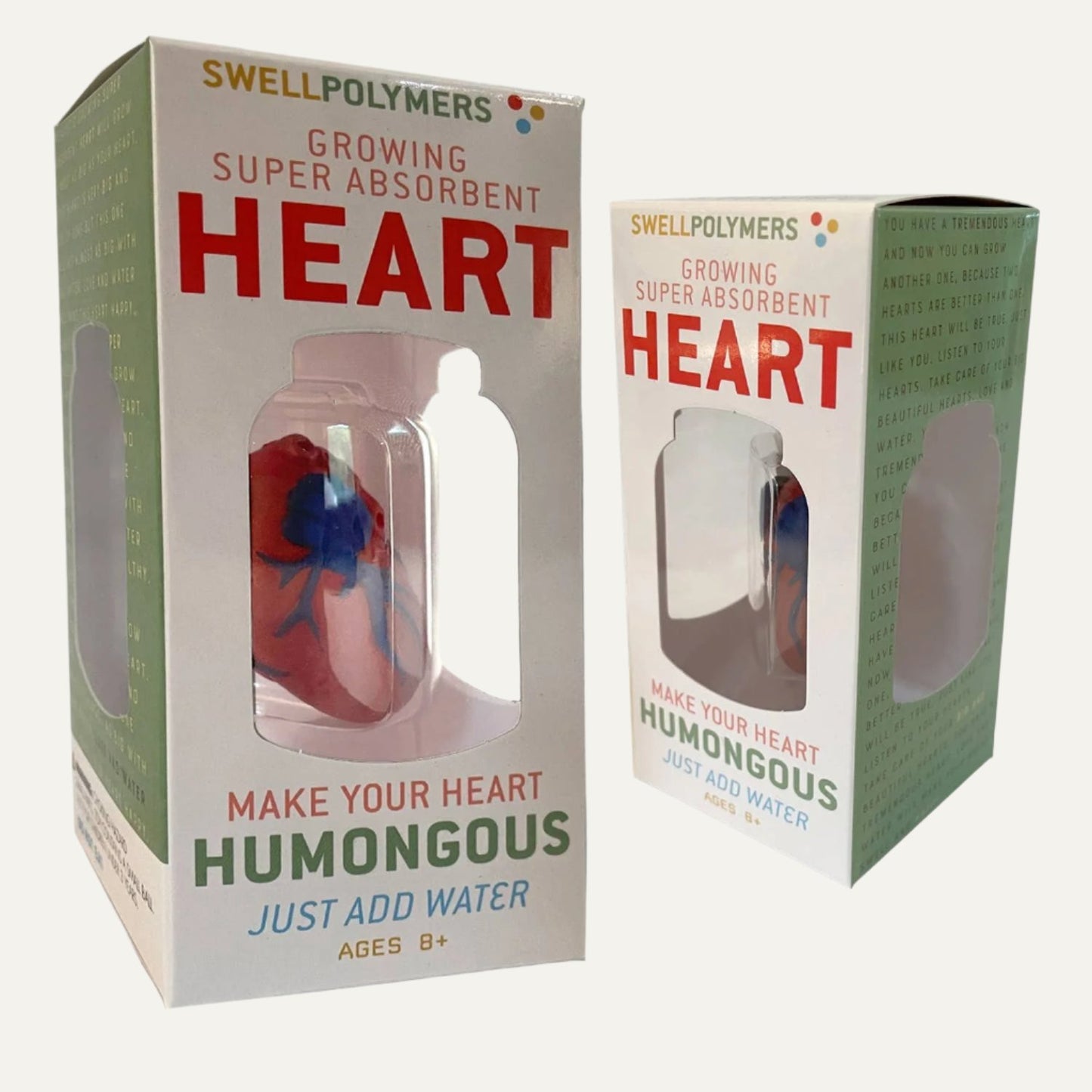 Grow a Heart |
Anatomy Model Polymer Heart Science Kit