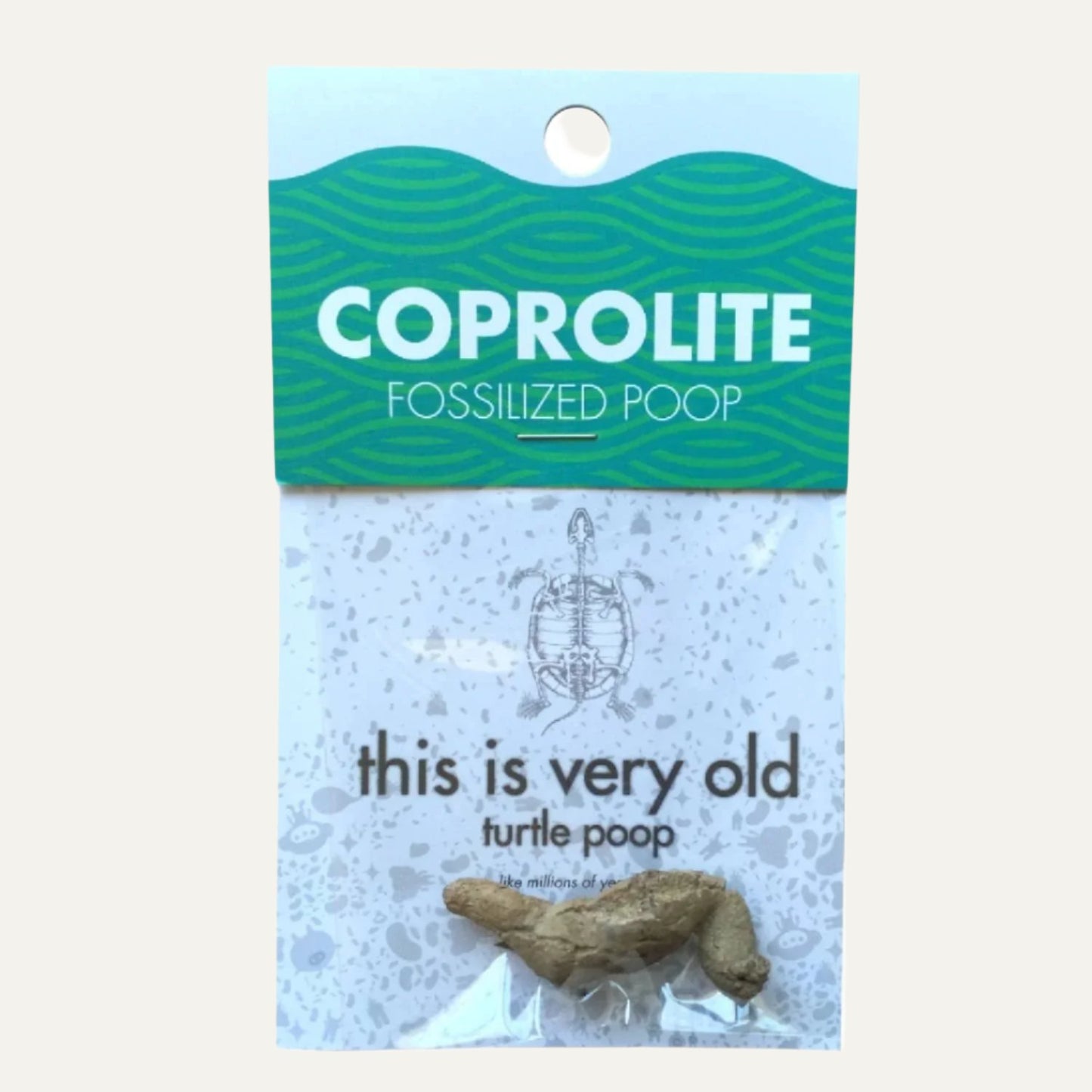 Coprolite Fossil |
Compact Curiosities Coprolite Fossil