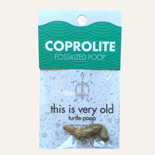 Coprolite Fossil |
Compact Curiosities Coprolite Fossil