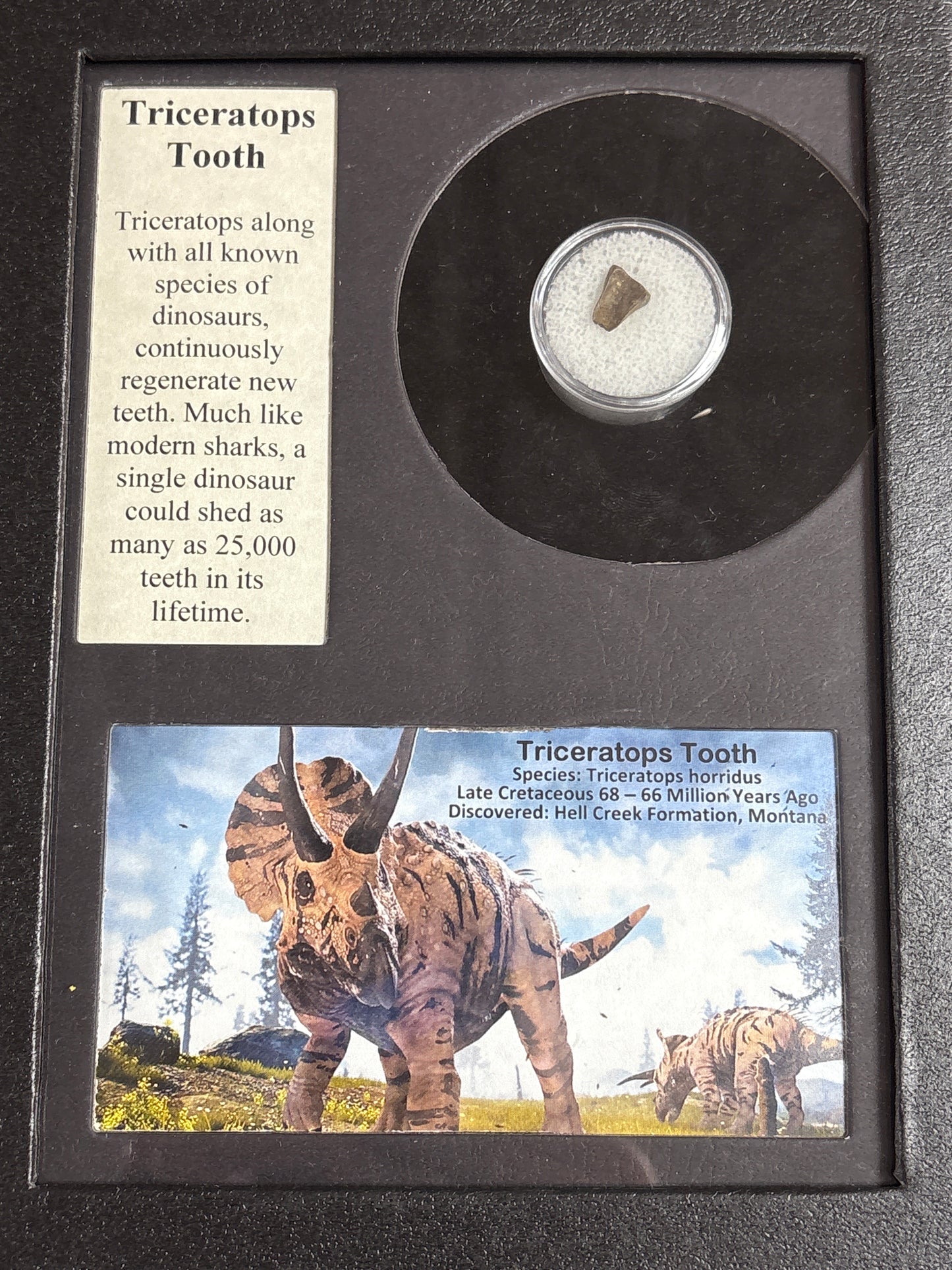 Framed History