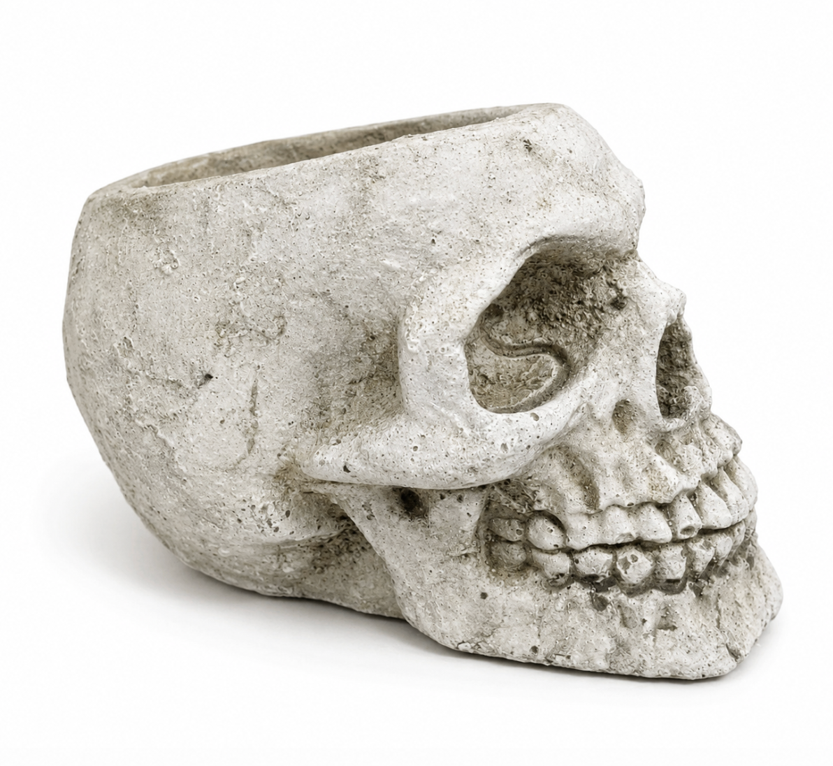 Concrete Small Skull alternate view