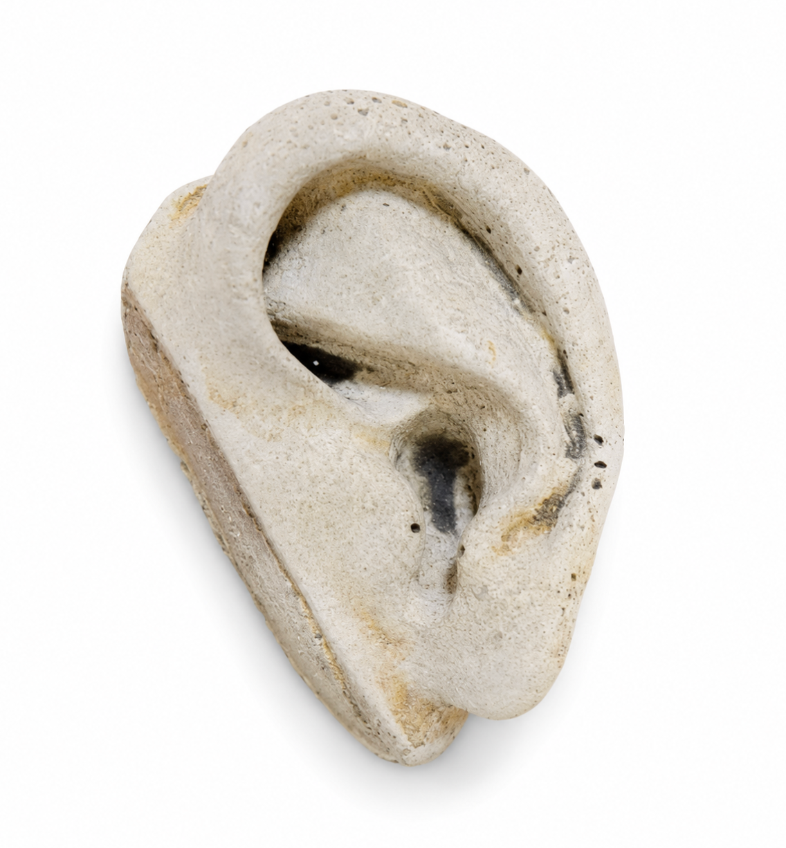 Concrete Ear alternate view