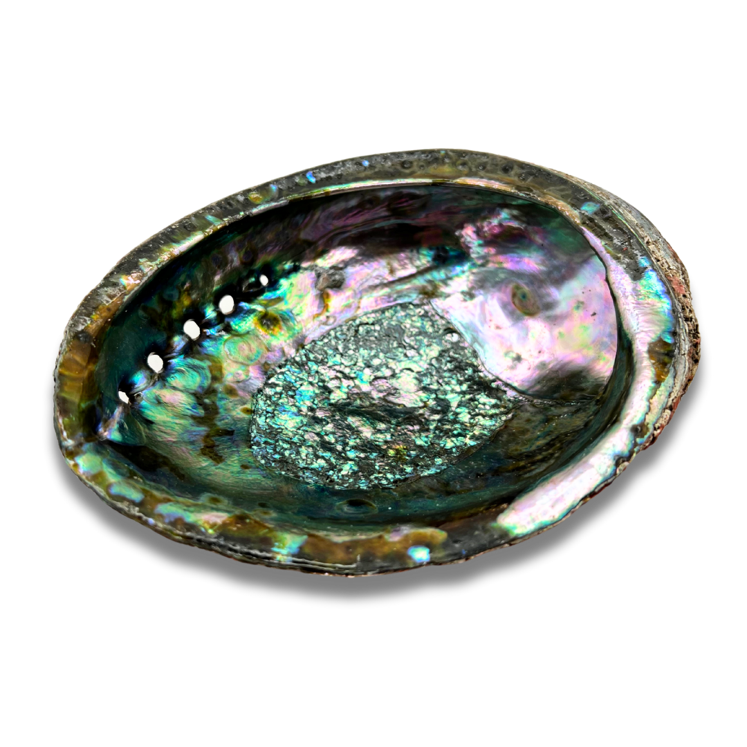 Abalone Shell Smudge Bowls