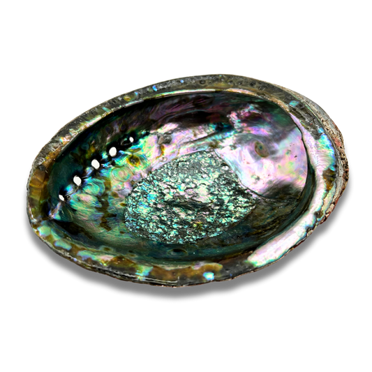 Abalone Shell Smudge Bowls