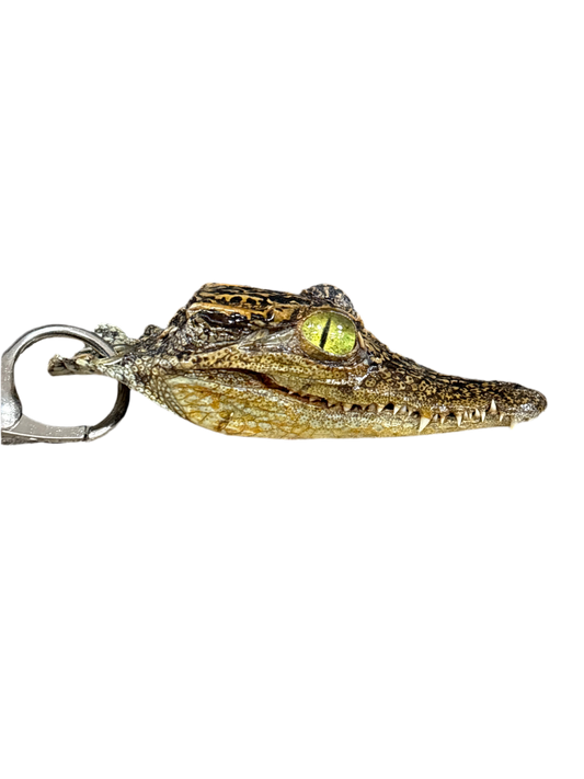 Alligator Keychain