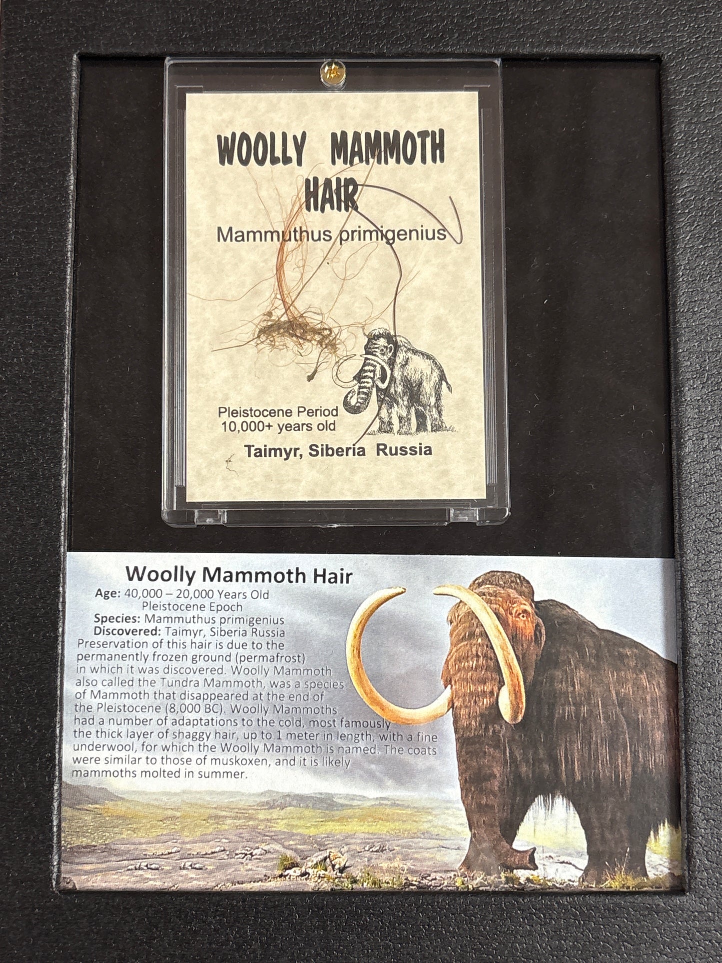 Framed History