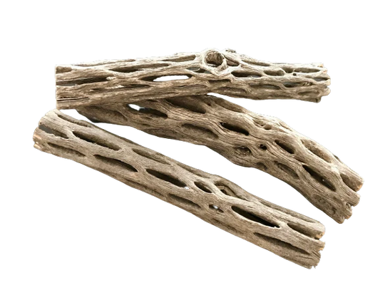 Organic Cholla Wood