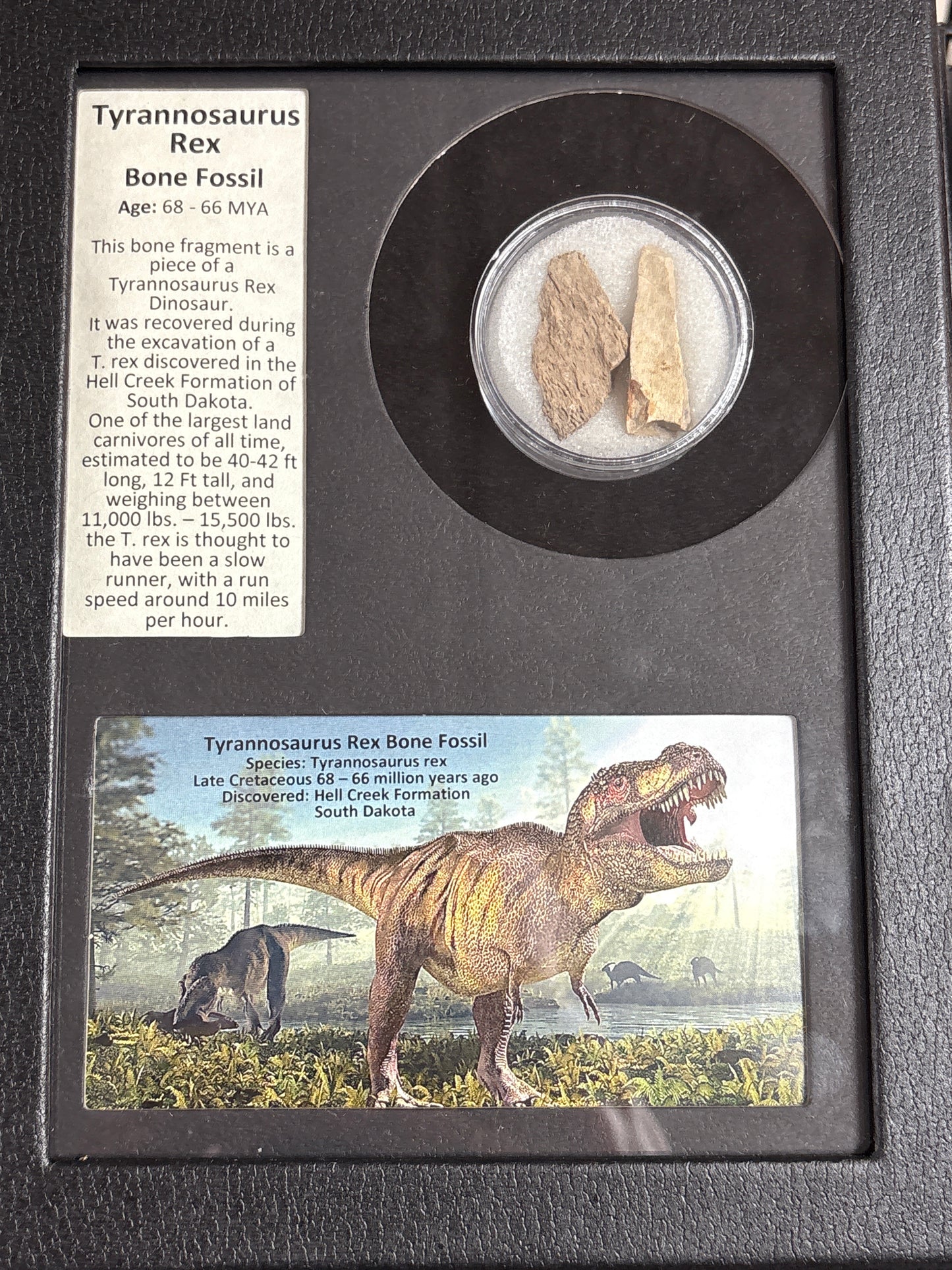 Framed History