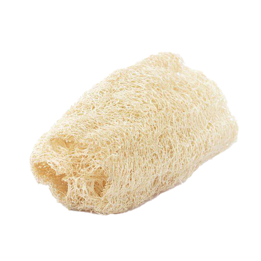 Natural Loofah ￼