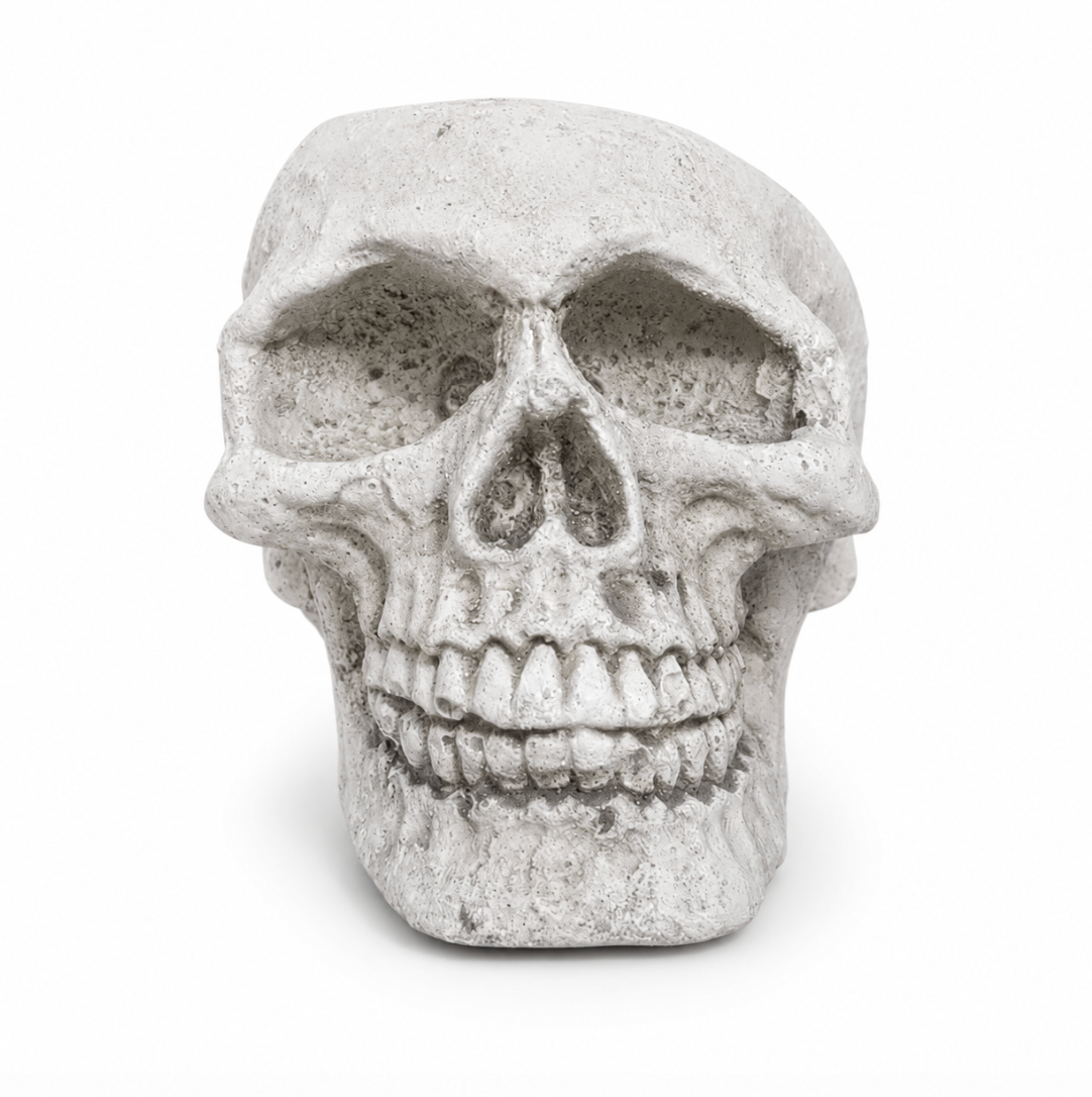 Concrete Small Skull
