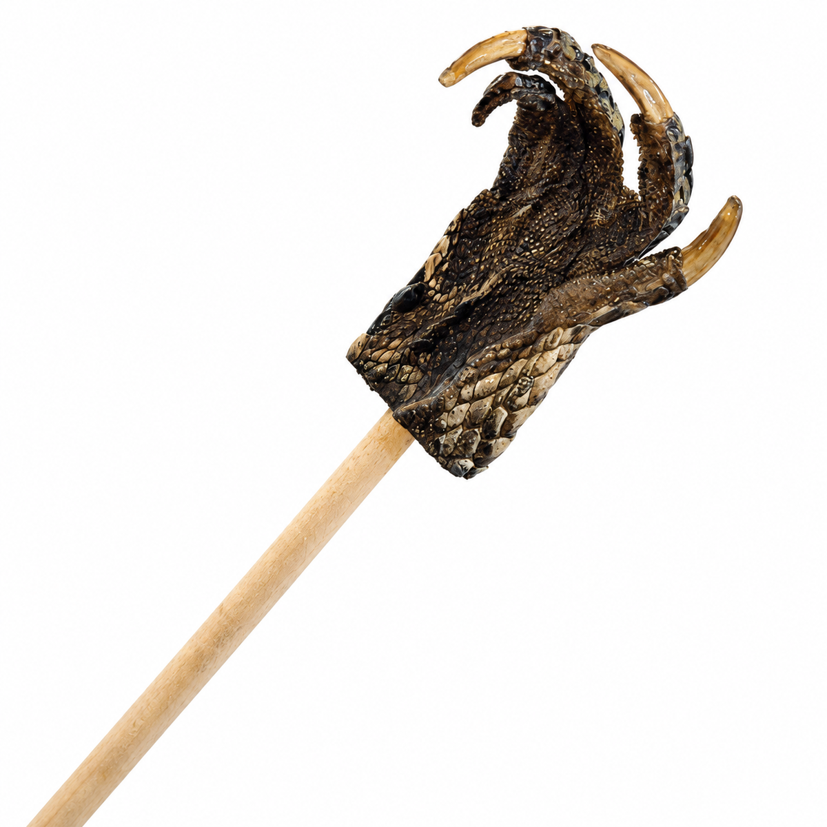 Alligator foot back scratcher with a light wooden handle on a white background.