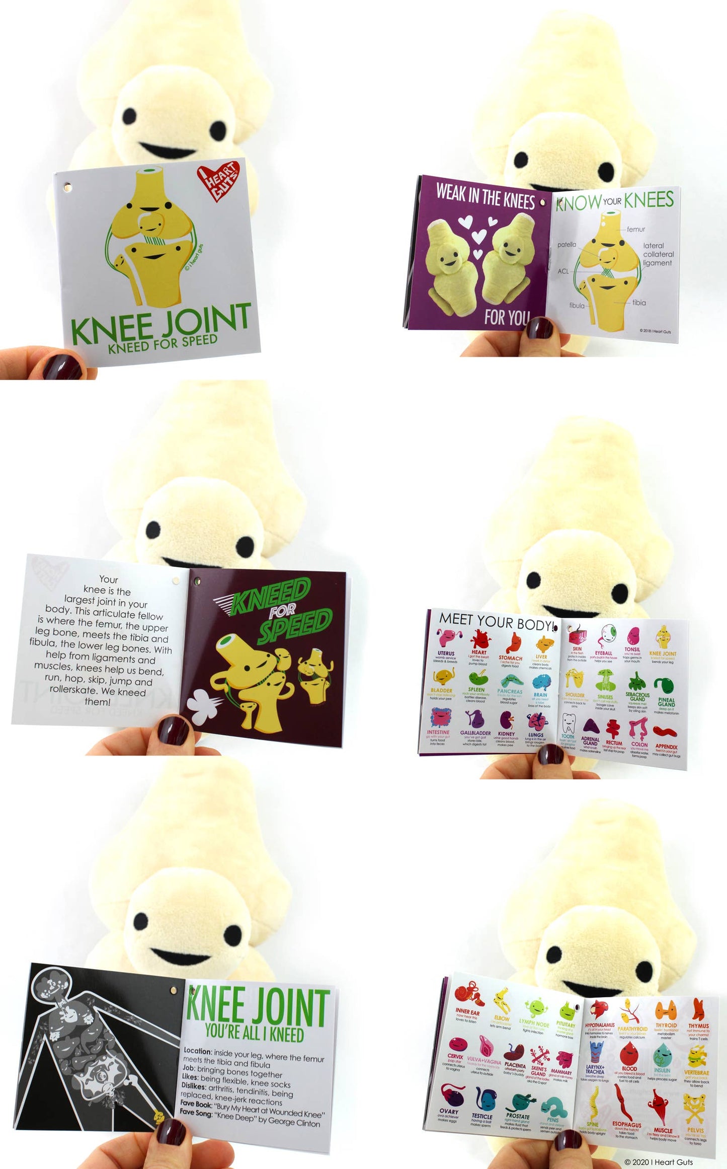 Knee Joint Plush - Kneed For Speed