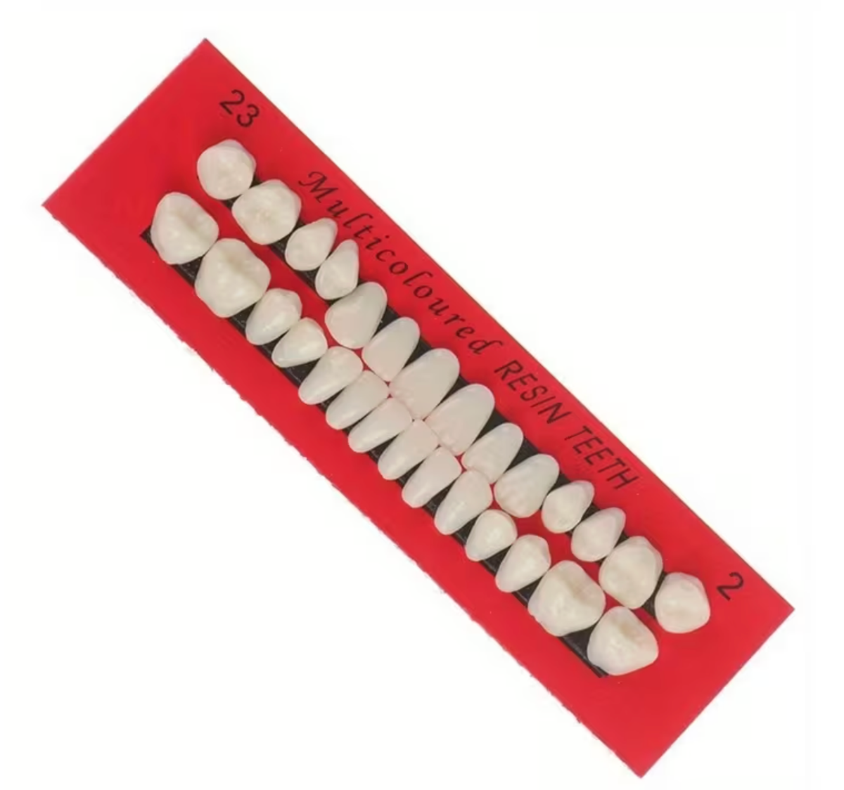 Artificial resin teeth set for crafts and decorative display