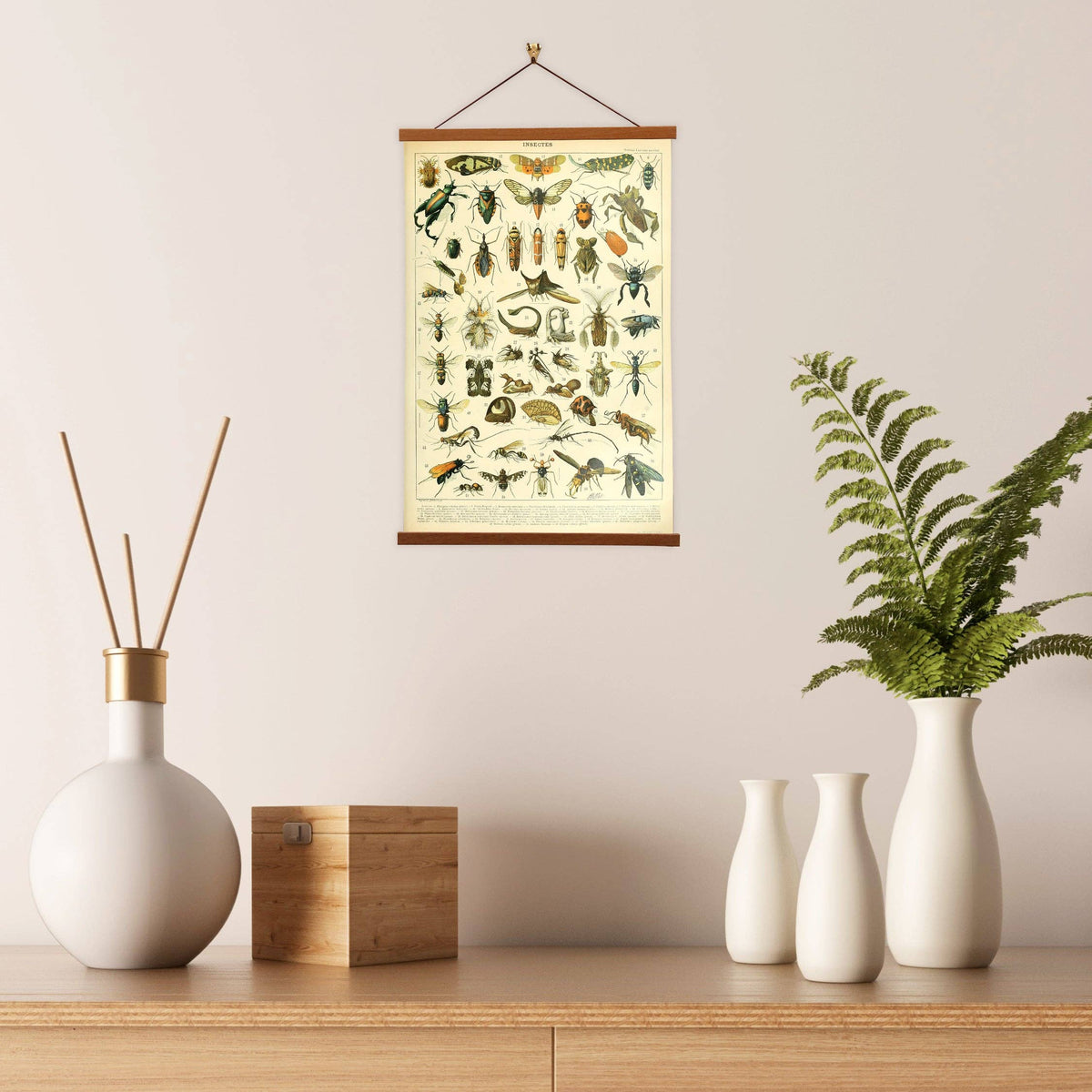 Insectes Set A by Adolphe Millot Scientific Illustration Canvas Print