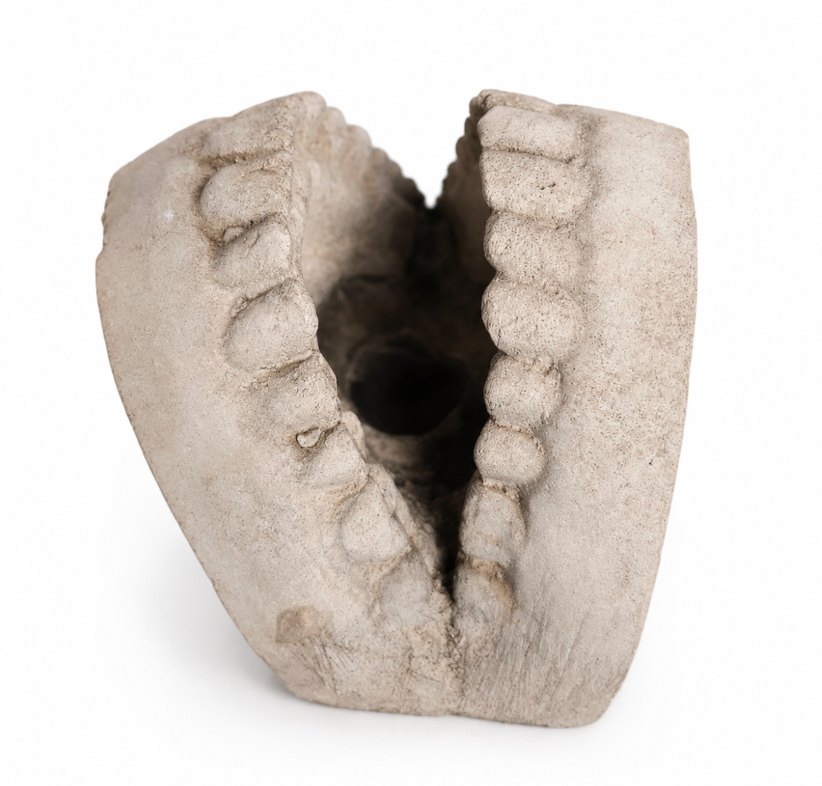 Concrete Teeth Set alternate view