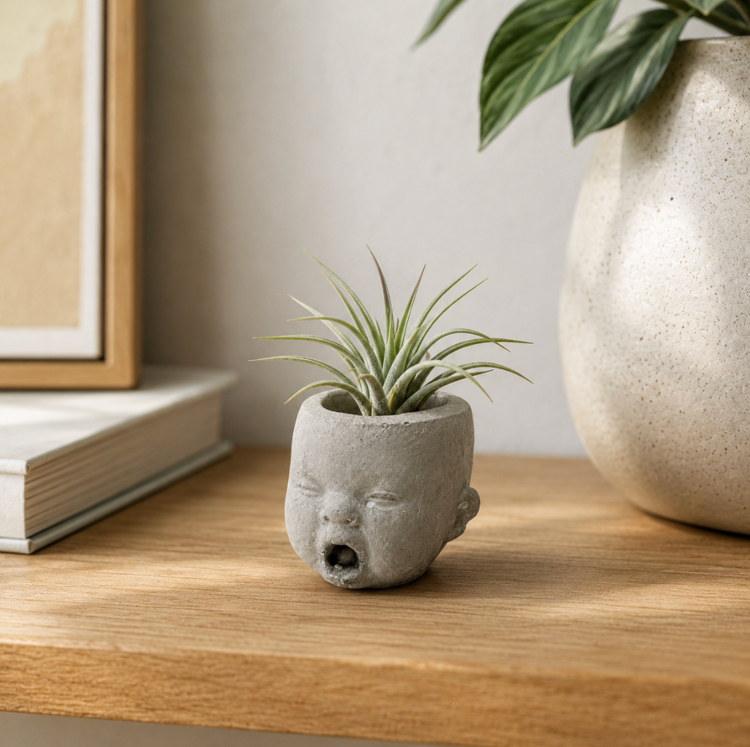 Concrete Small Reese Head alternate view