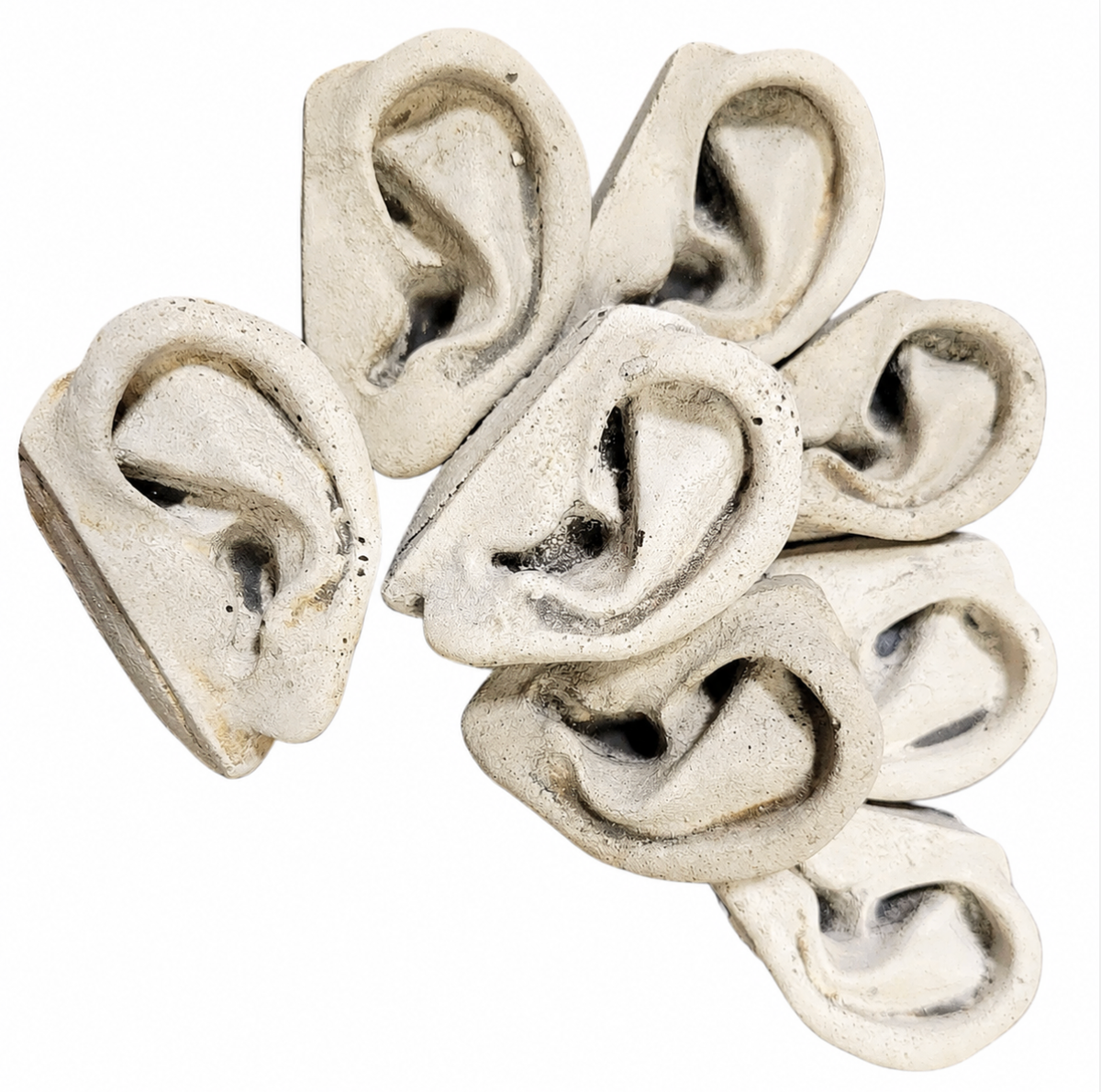 Concrete Ear alternate view
