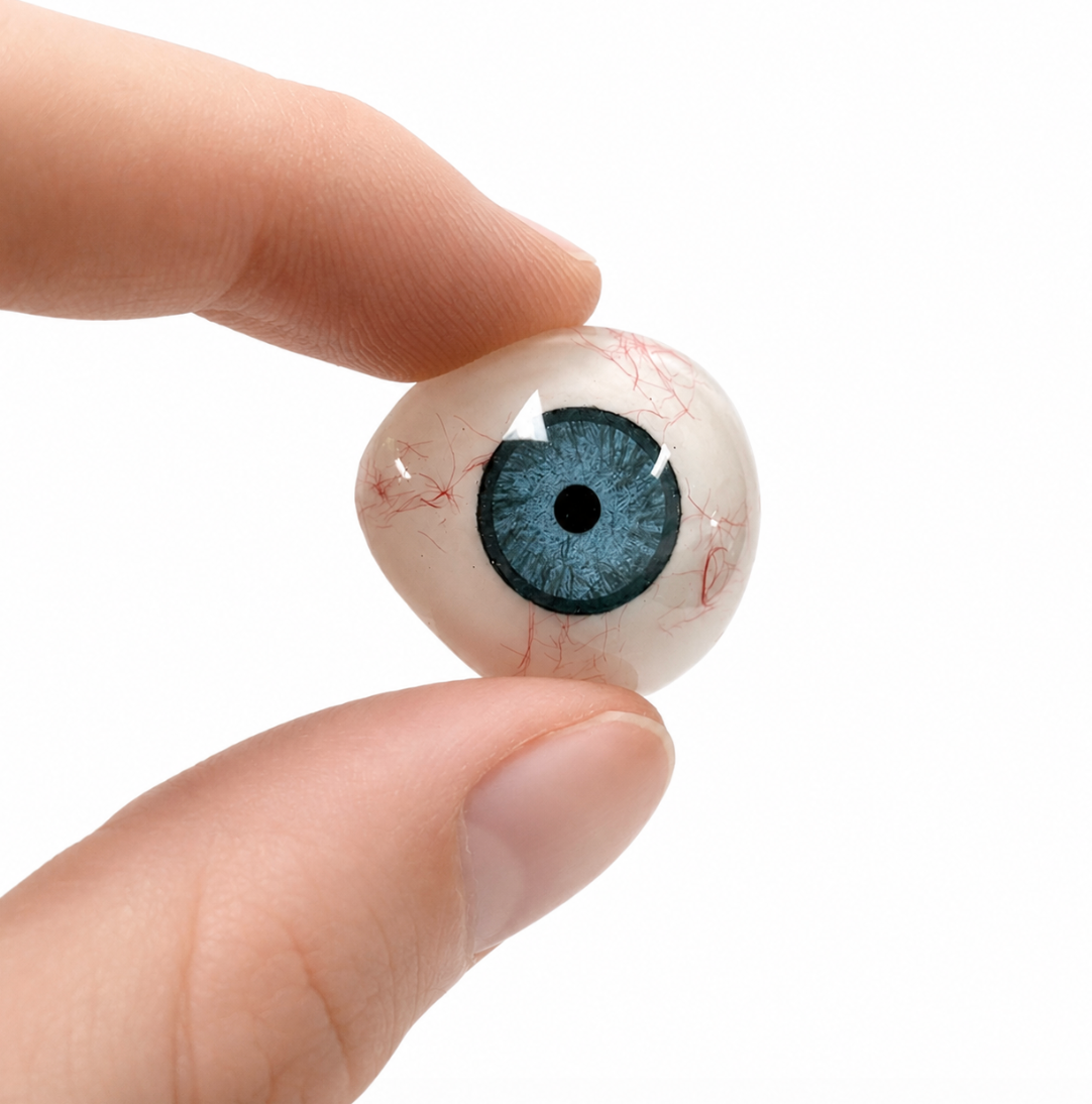 Artificial prosthetic eye collectible alternate view