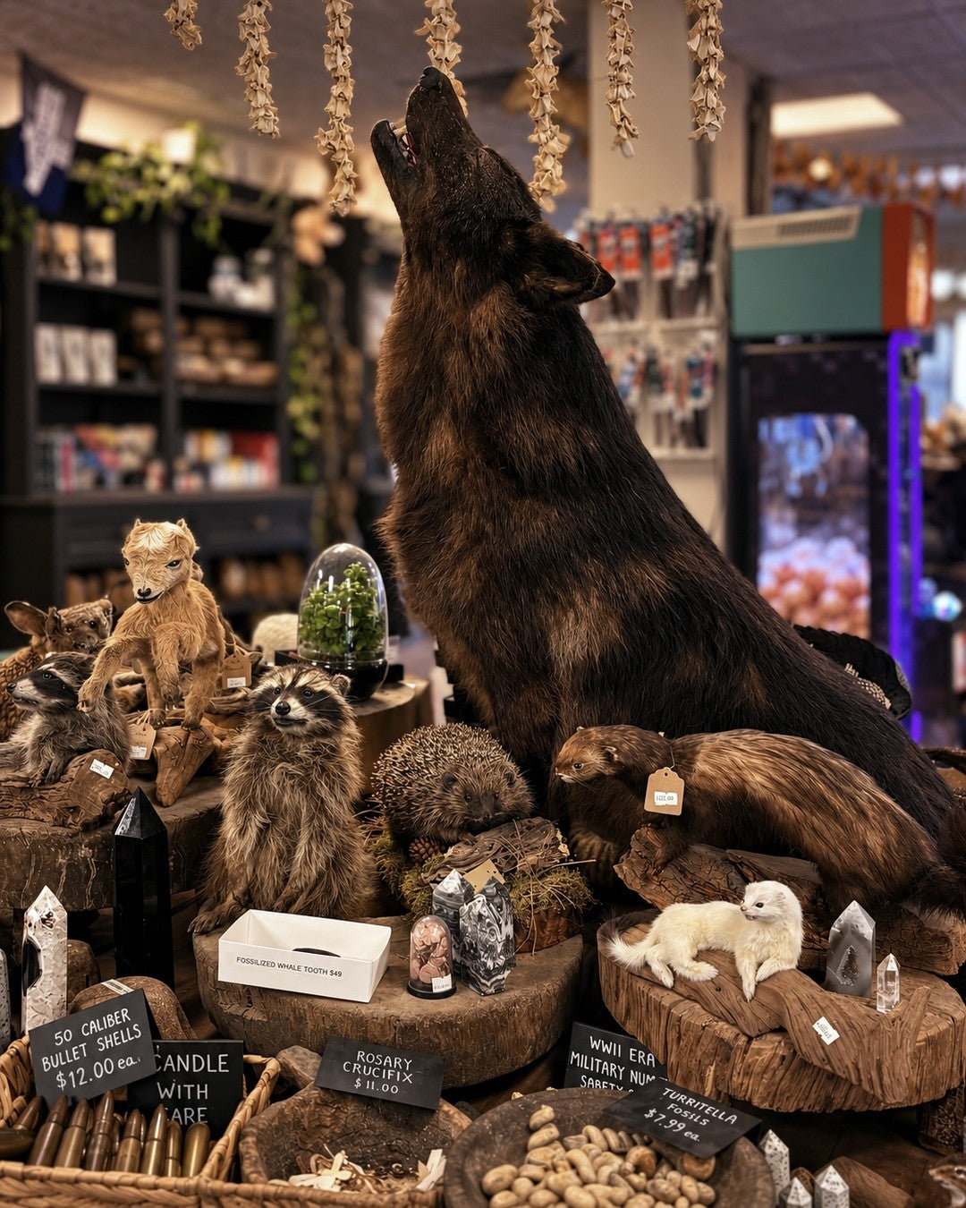 Wolf and natural history displays inside FLORA & FAUNA